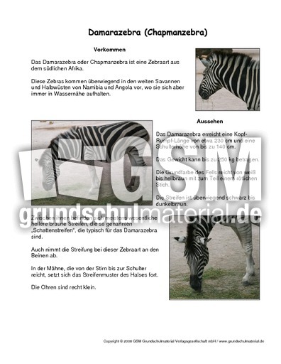 Damarazebra-Steckbrief.pdf